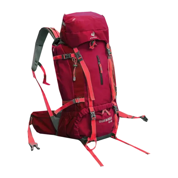 کوله پشتی کوه و سفر دیوتر مدل DEUTER-DTR150 (45+10 LITER)